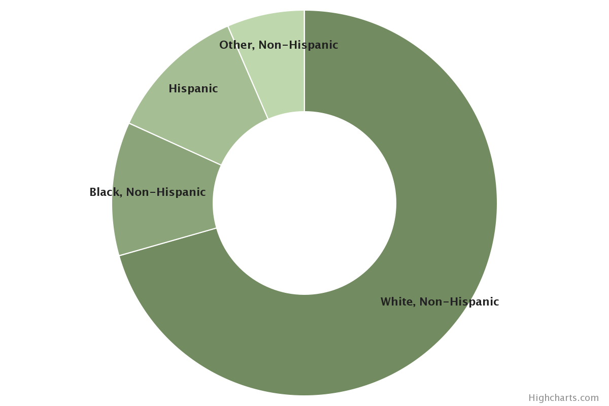 Sociodemographic Characteristics of Survey Sample. Race